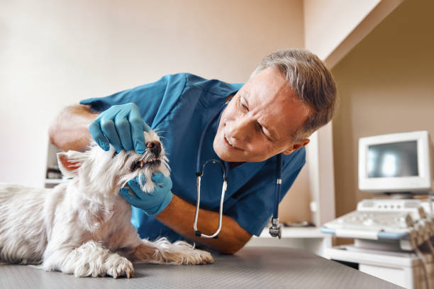 Best Pediatric Emergency Dentist in Pacific Grove, CA