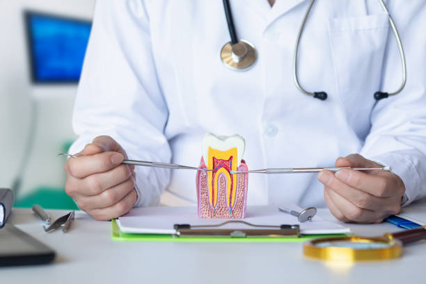 Best Emergency Orthodontic Services in Pacific Grove, CA